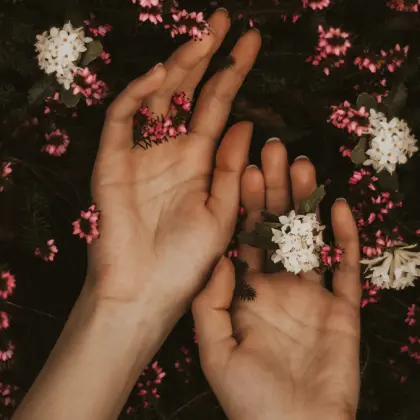 Jill Stout